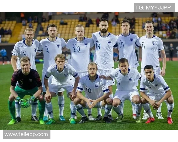 波黑足球明星名单揭晓他们在国际赛场上的辉煌成就与影响力